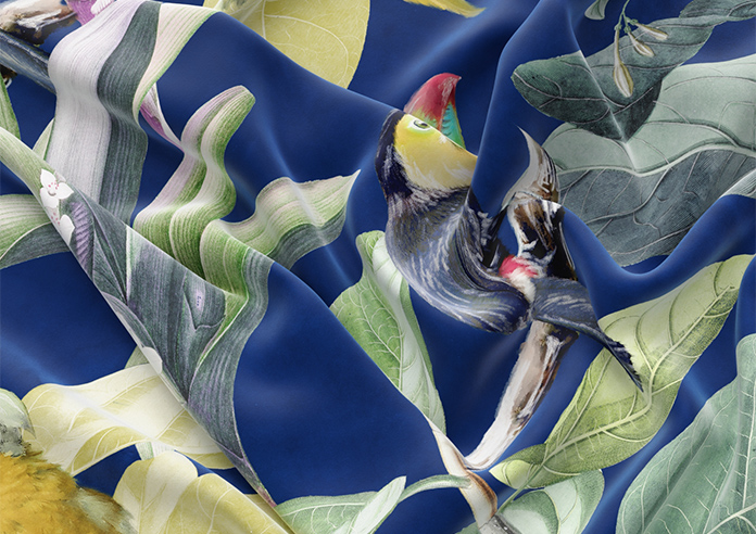 Parrot, Mangrove - Roman Blind - Image 4